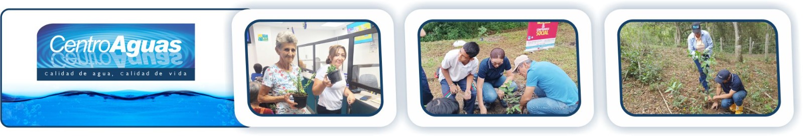 Diseño con tres imágenes de la siembra de plantas 