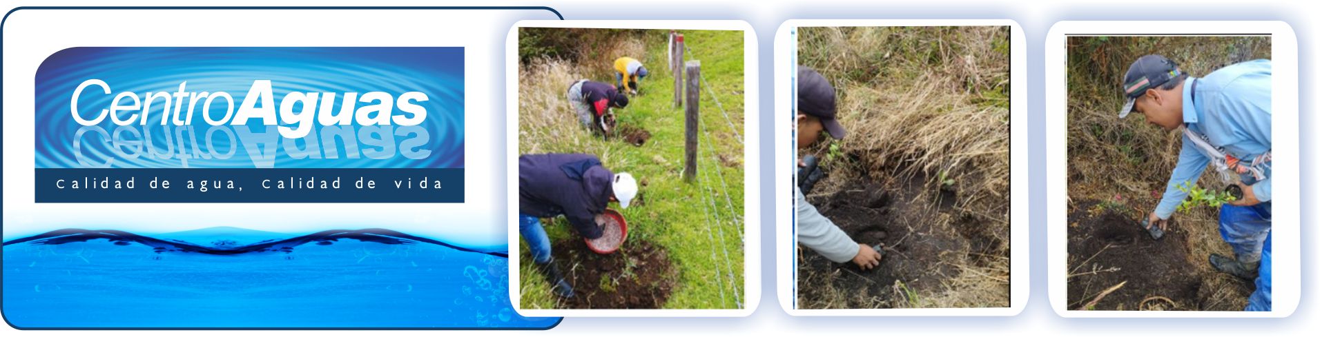CENTROAGUAS realiza labores de reforestación Diseño con tres fotografías de personal realizando siembra de plantas