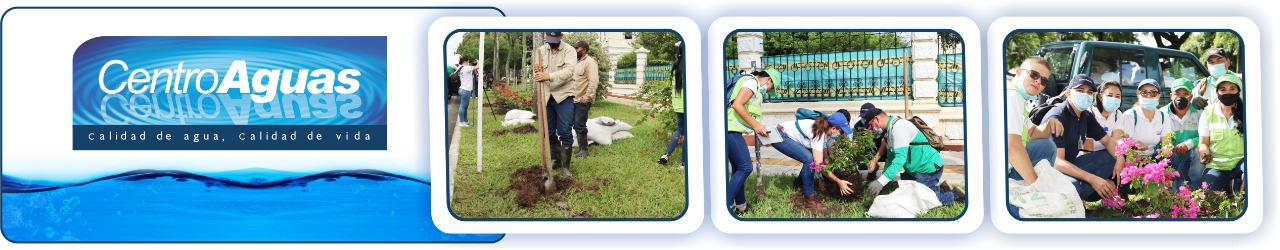 Diseño con tres fotografías donde se ven funcionarios de la empresa realizando labores de siembra 
