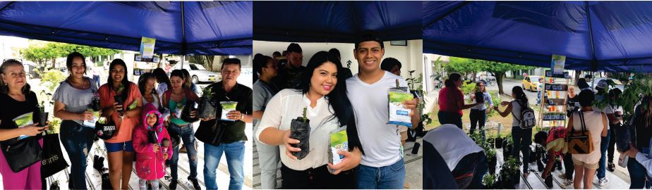 Diseño de tres fotografías donde se muestra la entrega de plantas a los usuarios que visitaban la oficina de Atención al Usuario 
